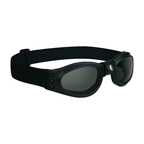 proSPORT Goggles Safety Smoke Small Kids Girls Boys Youth Petite Woman for Motorcycle Riding Motorcross Ski