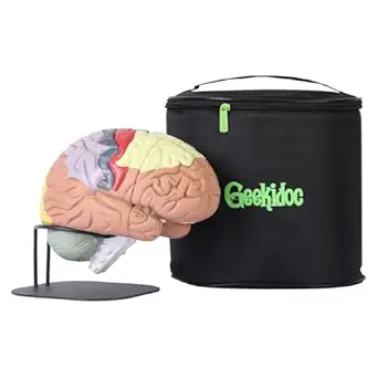 Geekidoc Human Brain Model with Laser-Engraved Numbers and Labeling | Includes Sturdy Metal Stand, Lightweight Carrying Case and Magnetic Dissections | 2x Life-size Human Brain Anatomy Model