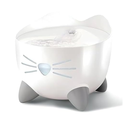 Guida completa alla fontanella per gatti 5 Catit Fontana d'Acqua Pixi