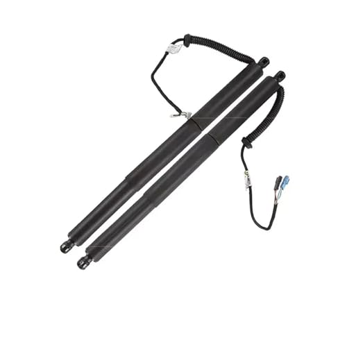 Support hayon électrique BMW X5 F15 : simplifiez le chargement de votre coffre au quotidien