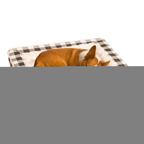 hbOxbh | \tgȃybgpSۉ\t@,􂦂鐇pqxbh | rO[ xbh[ ƒ P[W tA p