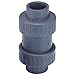 Check Valve,CPVC,1-1/4",FKM,Threaded