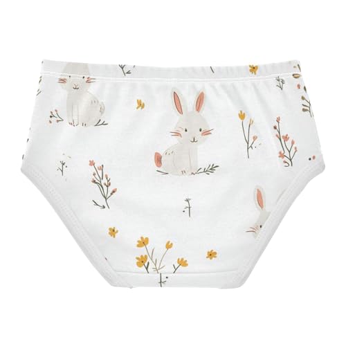 GuoChe Training Panties Underwear Moisture Wicking Breathable Toddler Underwear for Toddler in Sizes 2T,3T, 4T, 5T, 6Y and 8Y2