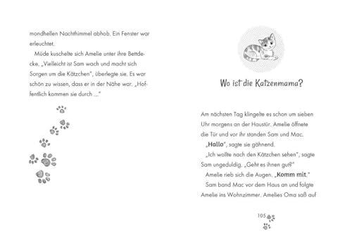 Tierklinik Pfötchen (Band 1) - Ein verletztes Kätzchen: Kleine Tierretterin mit großem Herzen! - Kinderbuch für Erstleser zum Vorlesen und Selberlesen ab 7 Jahren