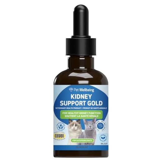 Vet-Formulated Kidney Support for Cats