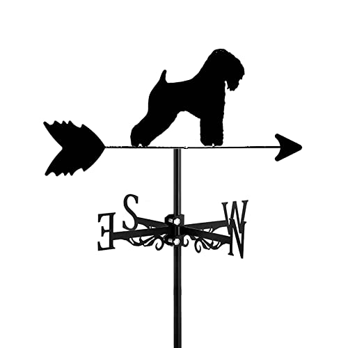 Indicateur de vent CLSDRHX ou girouette décorative pour l'animation de toiture de campagne
