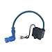 High Performance CDI Ignition Coil Fit for 49cc - 50cc 60cc 66cc 80cc 2-stroke Engine Motor Motorized Bicycle Bike With Mounting Parts Blue
