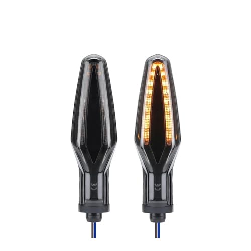 Clignotant Moto de Remplacement Lumineux pour Réparer Signalisation F900XR R1250