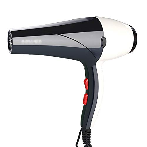 FENGXONG Secador de Cabello Salon Ionic silencioso de Alta Potencia con diseño de Estilo y ajustes de Control de Calor, 2000W (Color : Negro)