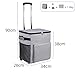 FytStycale Rolling Insulated Cart Chiller Heavy Duty Soft 35L Compact with Wheels and Handle Travel for Grocery Outdoor, Gray
