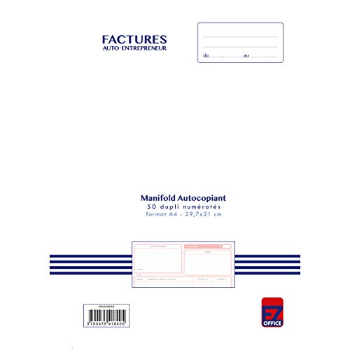 Manifold Fatture auto imprenditoriale/micro