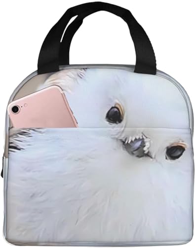 V}GiK 킢  `obN ۉ ۗobO ٓobO  RpNg ʋ ʍZ s v[g