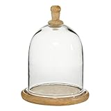 Deco 79 94961 Dome-Shaped Wood and Glass Cloche 11