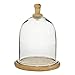 Deco 79 94961 Dome-Shaped Wood and Glass Cloche 11" x 8" Clear/Brown