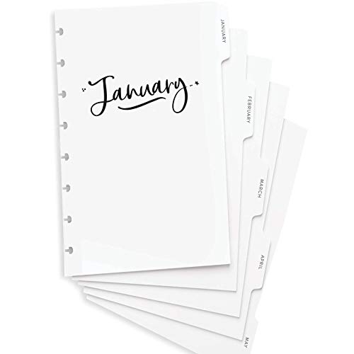 BetterNote Dividers for Disc Notebook, Monthly Index Tabs for Calendar, Fits Levenger Circa, Arc, Happy Planner, TUL by Office Depot, Whimsy (8-Disc, 5.5"x8.5")