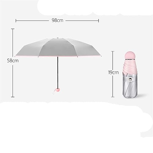 Parapluie pour les femmes portable au design soigné et haute résistance aux intempéries