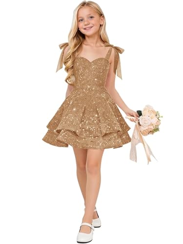 WellrDeny Champagne Gold Tiered Sequin Flower Girl Dress Teens 2026 A-Line Sparkly Tiered Spaghetti Straps Cute Short Toddler Birthday Evening Ball Gown 8 Years