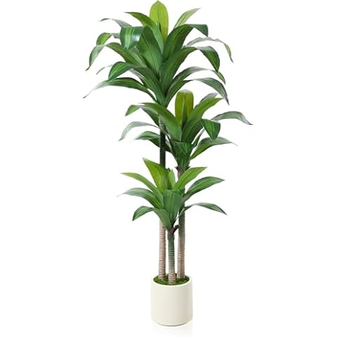 OAKRED Artificial Dracaena Tree 5ft, Tall Fake Dracaena Plants with White Planter, Faux Dragon Tree Indoor Floor Plant for Home Decor Office Living Room Porch Housewarming, 1Pcs Cover