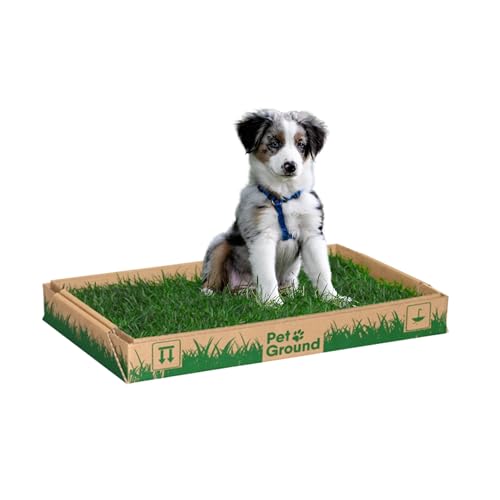 PetGround Empapador para Perros, Ecológico, Alfombrilla de Césped Natural, Inodoro para Perros, Caja Impermeable, Reutilizable e Inoloro, Standard (60cm x 40cm)