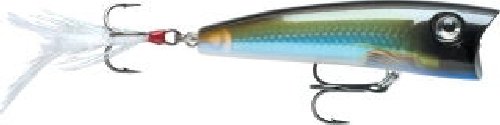 RapalaRapala X Rap Pop 07 Fishing Lure 2 75 Inch
