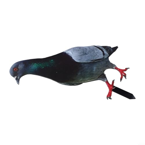 Vibsky Sculpture de pigeon en acrylique 2D avec base robuste pour jardin et cour