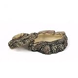 Terratlantis TD Feeder W/Cover S