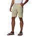 Columbia Men's Permit II Short