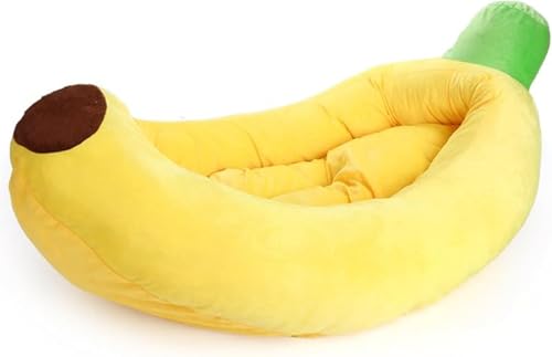 Xiraivkeoii^ybgxbh 􂢖he_炩ybgpX[sOobO ۉzctՐ|ybgpi 낢ppxbh _炩ɗDۉybgX[sOobO lRECkphoii^ybgxbh?