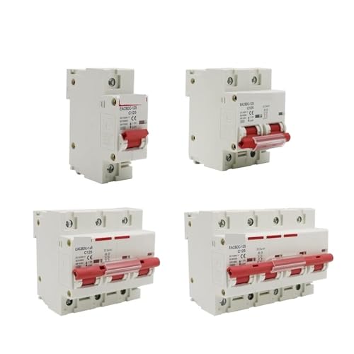 Disjoncteur de surcharge électrique continu 1000 V pour coupure 80A - 2