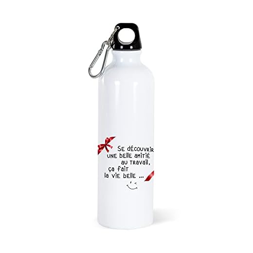 Gourde 750ml Collègue Bouteille d’Eau Aluminium Réutilisable Ecologique avec Mousqueton. Idée Cadeau Original Humour Homme Femme Retraite Mutation Pot Départ Sport Voyage Bureau Anniversaire Noël