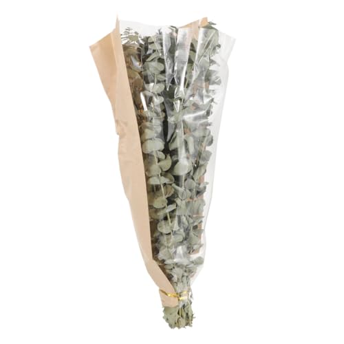 Ramo de Lavanda y Eucalipto Secos para Baño 12 Tallos miniatura 6
