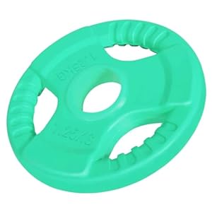 GORILLA SPORTS® Hantelscheiben – Einzeln 1,25-25kg / Set 30kg, 50mm, Gummi, mit Griff – Gewichte Hantel, Weight Plates, Gewichtsscheiben, Olympia Hantelscheibe, Langhantel Scheiben, Fitness Gewichte