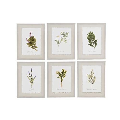 Haven Home Décor Ava Barrett Botanical Prints 13.5'' x 10.5''