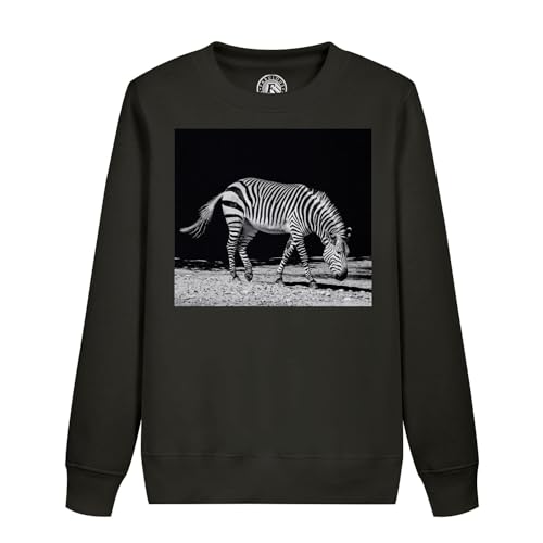 Sweat zèbre enfant cadeau idéal anniversaire motif animaux sauvages