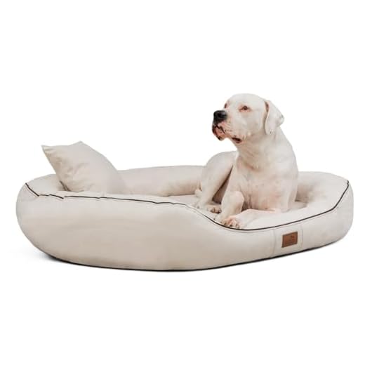 BedDog® Hundebett LUPI, Hundesofa aus Cordura, Microfaser-Velours, waschbares Hundebett mit Rand, Hundekissen Vier-eckig, für drinnen, draußen, XXL, The-Rock, schwarz-grau 5 tierlando® Nonplusultra Marlon orthopädisches Hundebett mit Visco Plus Matratze in Velours! Soft-Lounge! Gr. M L XXL XXXL | 85 cm bis 220 cm (M 85 x 65 cm, 05| Creme)