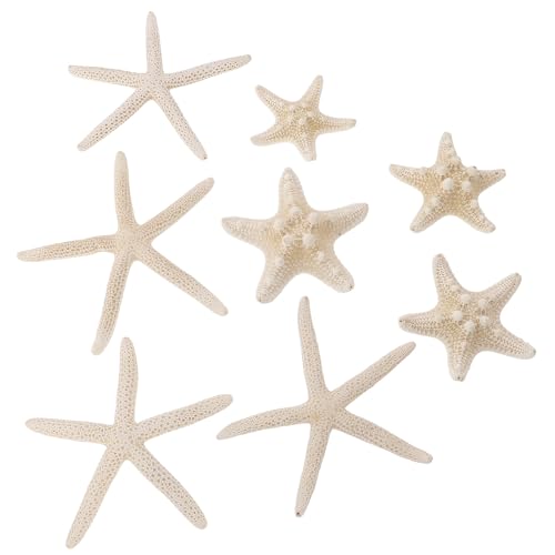 DOITOOL VRqgf ԕrlߍH|iƐp Rfނ̃fXNgbviσ~j z[ƃK[f Ntg 8Zbg