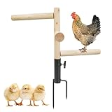 Chicken Perch Toy for Coop, Wooden Perch Stand with Metal Ground Plug for Chicken House Accessories, Chicken Enrichment Toys, Toys for Chicken, Hens, Geese, Ducks, Turkeys, Poultry