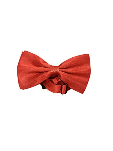 Takestop® Papillon Seta Rosso Red CRAVATTINO