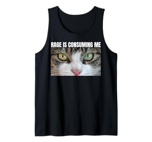 Rage Is Consuming Me Mirando Enojado Cat Rage Tonto Divertido Meme Camiseta sin Mangas