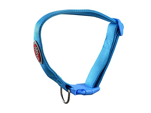 Adjustable nylon collar with neoprene lining NEOPRENE COMFORT size L - 2,0cm (28cm-45cm), blue, CO-NEO-LIGHTBLUE-L - Image 2