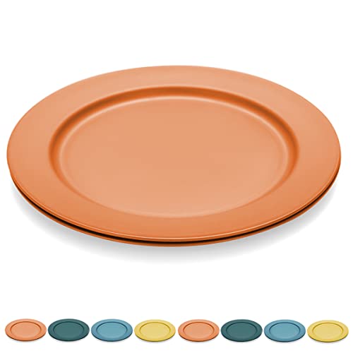 Kyraton 25cm Teller Set 8er, Abbaubar Gesunde Unzerbrechliches Plastikteller Kuchenteller für Kinder und Erwachsene, Leichte pastateller, BPA-Frei Essteller Mikrowellen