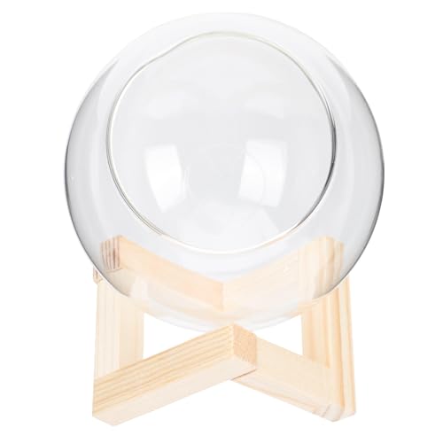 FUTUREORYY Maceta de Cristal Transparente