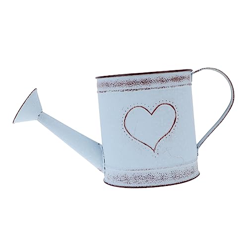 TOYANDONA Antique Iron Watering Can Vase for Indoor Plants Vintage Garden Watering Pot Long Spout Decorative Floral Design for Succulent Care and Home Decoration