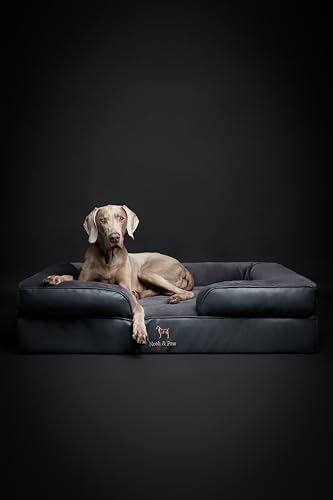 Image of NOAH & PAW XL Dog Bed, 45x35x11 Inch, Orthopedic Large Dog Beds, Eggshell Memory Foam Infused with Cooling Gel, Inner Cover, Water Resistant, Machine Washable (Faux Leather)