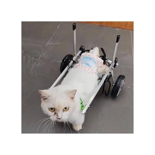 Dog Wheelchair Disabled/paralyzed Cat Wheelchair for Elderly, XXS/Xs/S Kittens Arthritis Mobility Aids Support, Weak Leg Brace Walk Car, Dog Assist Vehicle Device(Large)