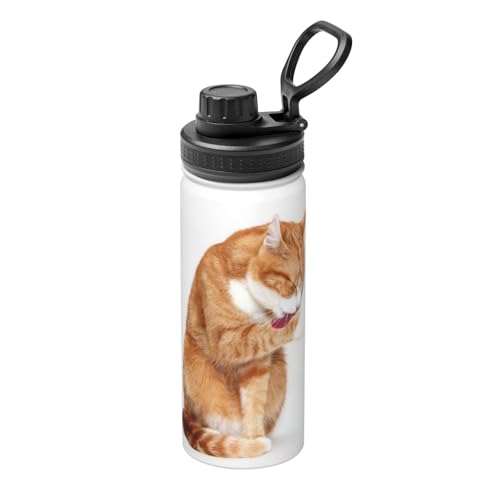 猫 水筒」の人気商品一覧・価格比較 - 価格.com