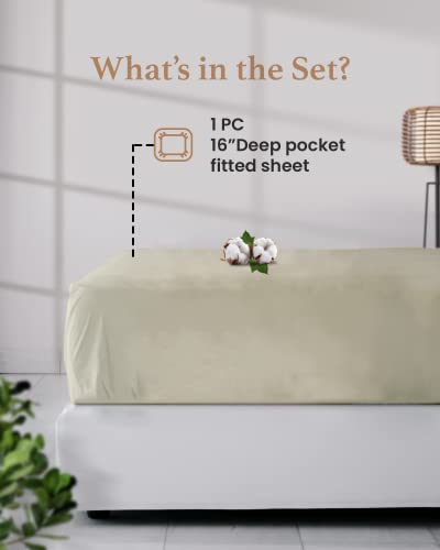 800 Thread Count Ivory Queen Fitted Sheet Only Deep Pocket, Egyptian Cotton Queen Fitted Sheet Only, Soft Fitted Sheets, Premium Egyptian Cotton Fitted Sheet, 18” Deep Pocket Queen Fitted Sheet Only #TOP2