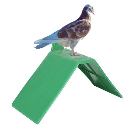 Installazione facile: Il supporto leggero del persico dell'uccello è dotato di un design a due fori, che PUò essere fissato saldamente con le viti, è facile adattarsi sia alle condizioni interne che esterne, risparmiando tempo e fatica