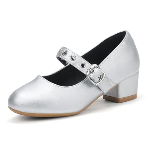 PANDANINJIA K[Y hXV[Y grbOLbY A[WF[ [q[ obN EhgD t[K[ EFfBO  p[eB[ wZ pvX V[Y, Vo[ |E^(silver pu), 3 Li