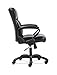 HON Sadie Executive Chair, Leather Ergonomic Office Chair with Adjustable Arms and Back Support, 360 Swivel, Black